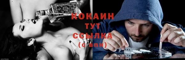 мдпв Елабуга