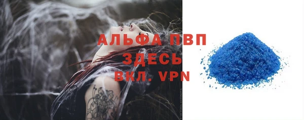 твердый Дмитровск