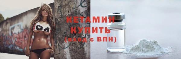 твердый Дмитровск