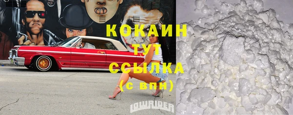 мдпв Елабуга