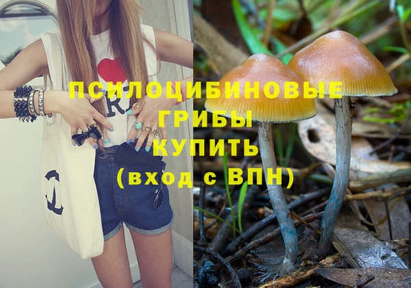 мдпв Елабуга