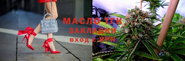 твердый Дмитровск